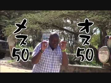 メッチャいるよ もちろん見れるよ By うんこいただきまーす ニコニコ動画