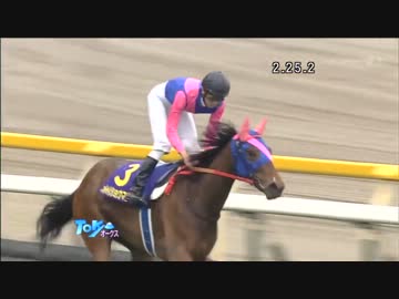【競馬】第38回エリザベス女王杯　出走馬