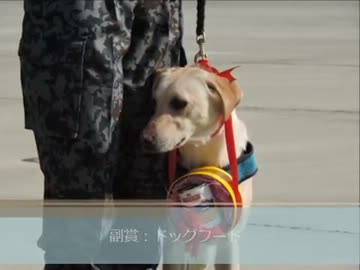 【航空自衛隊入間基地警備犬への防衛大臣褒賞状授与式】