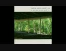 Town and Country - Hindenburg