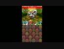 【パズドラ】タケミナカタ降臨　イシスPT　ﾉｰｺﾝ