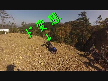 たんやりさんと行く滋賀紅葉林道ツー