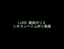 TW Lv265魔剣ボリス シオカンヘイム狩り動画