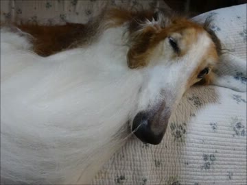 ［バイクに恋、しました］　その８～ちょっとスパイス効かせたい～