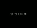 【歌ってみた】WHITE BREATH／T.M.Revolution【うたスキ動画】