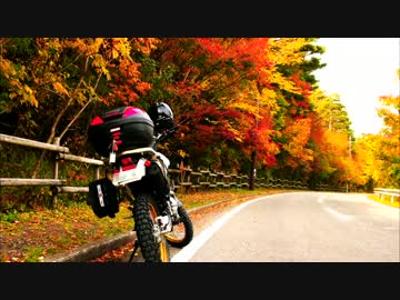 【紅葉】ツーリングセローで本栖湖にトコトコ【富士山】