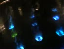 1102TDS思い出2