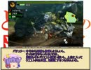 とあるシビルドンの流離狩猟 part8