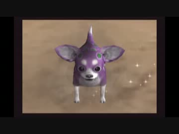 毒チワワ 動画公開🎥】 ショート動画公開しました！ ネットでよく見るこの”毒