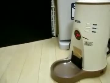 ご飯が待ちきれない野獣先輩