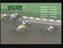 【世界の競馬場から】2013年デルビーナシオナル　カミリンカミロン