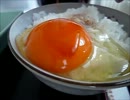 最高の卵かけご飯！【お取り寄せ】