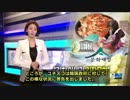ユネスコが韓国に警告「キムチは無形遺産の登録候補ではない」