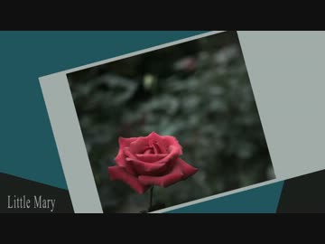 【初音ミク】Little Mary【オリジナル】