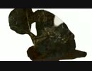 【半年記念】ドーナツホール　歌ってみた【ニワカオタ】