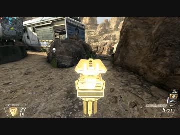 PC版BO2//Guardian/TDM[17]