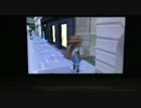 ポケモンXY 　動けないバグ　既出かも？