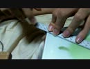 【定規】ハウトゥー世界征服を定規で弾いたこうなった【PIEZO】