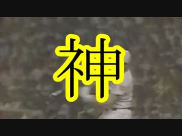 迷助っ人列伝　阪神助っ人ヒストリー2
