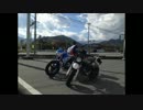 【GSR250】もみじ狩りツーリング【奥秩父】
