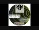 Hollen, Tony Dee - Boarding Pass (Original Mix)