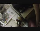 収納BOXへの潜入を試みる猫