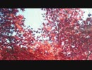 オリジナル曲２を作って弾いてみた。