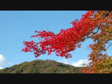 【バイク車載】タイヤ替えたんでトコトコ田舎道を走ってきた