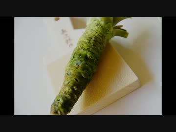 【わさび発祥の地】孤独のグルメ「わさび丼」【ツーリングセローで】