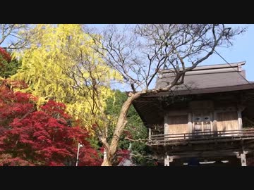 2013丹波・但馬紅葉めぐり