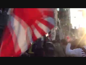 【2013/11/17】日韓国交断絶国民大行進in帝都　4/6