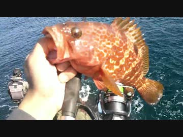 釣り生主と釣り動画主ともちょおで釣りにいったよ　その2 もちょお