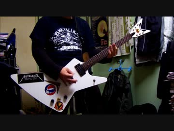 HavokのWaste Of Lifeを弾いてみた