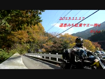 2013.11.17 道志みち紅葉ヤエー狩りツーリング