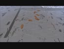【Minecraft】整地作業 定点観測･120倍速･無音 part32