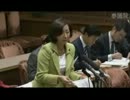 11.19 参議院国家安全保障に関する特別委員会　牧山ひろえ（民主）