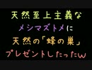 天然至上主義なメシマズトメに天然の「蜂の巣」プレゼントしたった　2ch