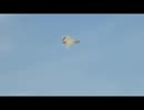 岐阜基地航空祭予行　F15.