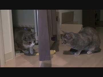 【モアクリ】 ドア狭間の戦い