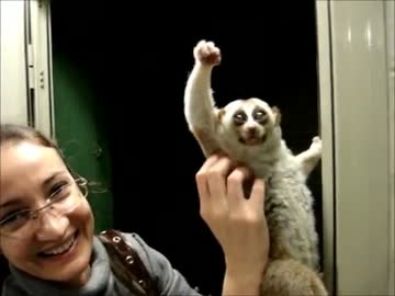 完全エンダアアアアした淫夢くんUC【正規版】