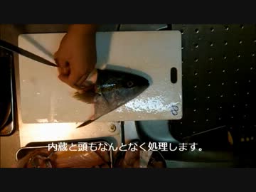 ヒラマサ釣ったので、調理してみた