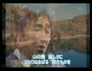 追憶の湖-鶴田浩二.avi