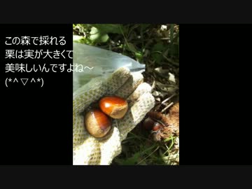 まったり田舎暮らし　その６