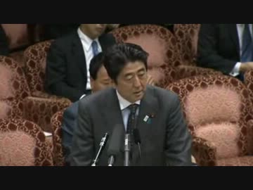 民主党の大バカ女議員　徳永エリの質問　ウソだらけ