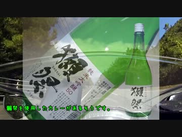 30すぎたおっさんのZX10Rどうがにっき　番外編５