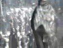 アサシンクリードOP【画質テスト】