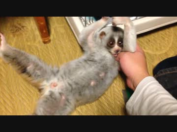 セクシーポーズを決める淫夢くん