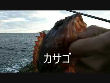 根魚釣り！　もちょお