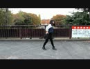 【初投稿！】Lamb.踊ってみーちゃった【.Alice】