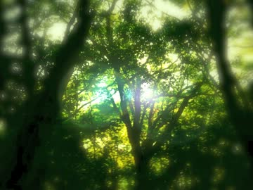 【オリジナル】 森の深淵へ 【インスト曲】